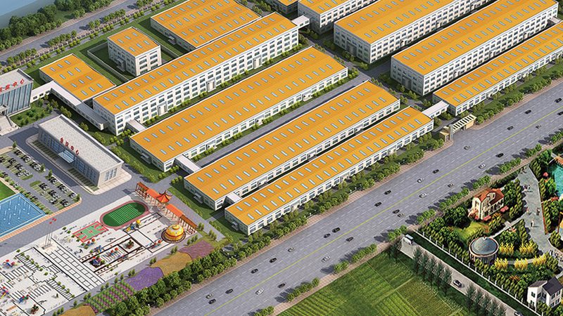 辅酶Q10粉末：如何选择优质食品级原料？**