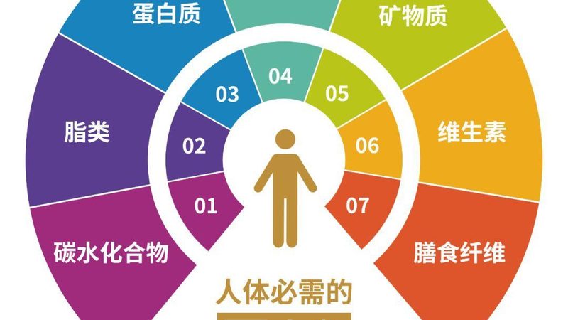 小标题：一、行业现状解析
